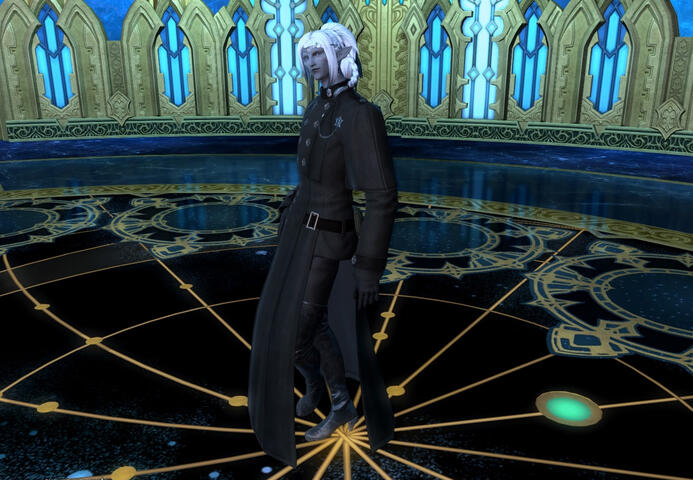 Aris took on many different roles as Liaison for the Crystal Exarch. While he and the Exarch never once saw eye to eye fully, he completed many a mission in the name of progress, and in the name of seeing the WoLs again and safely.